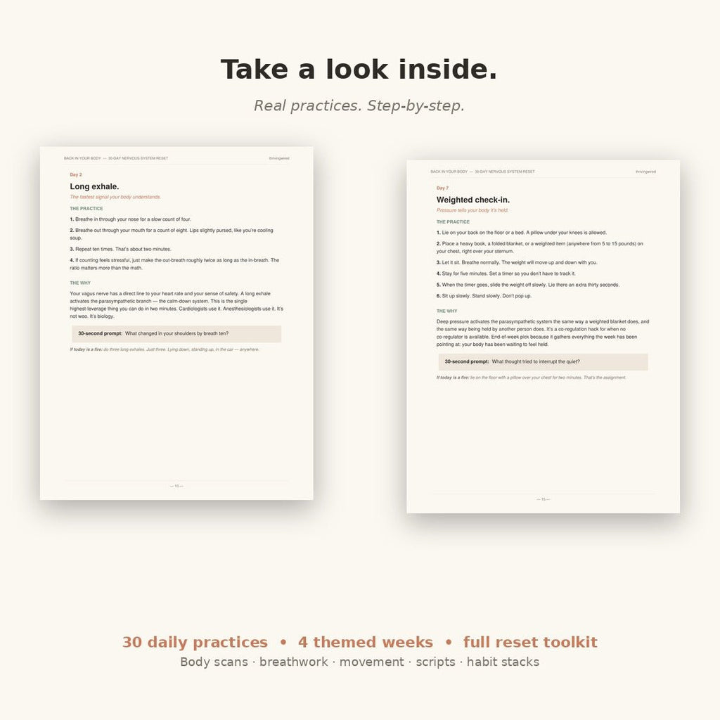 Back in Your Body: A 30 - Day Nervous System Reset - ThrivingWired