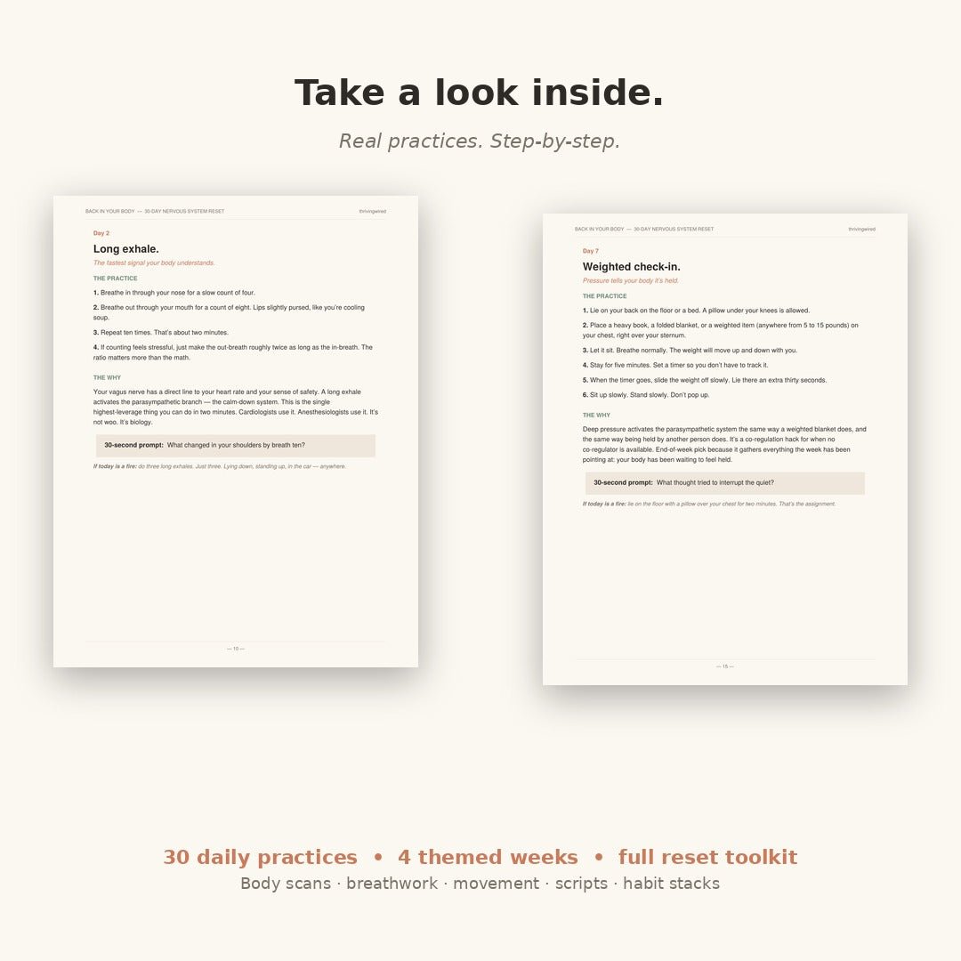 Back in Your Body: A 30 - Day Nervous System Reset - ThrivingWired
