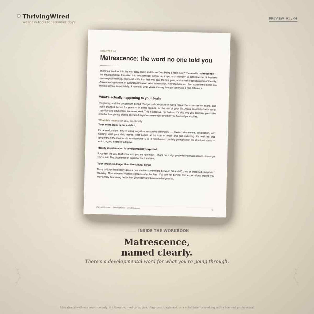 She’s Still In There: A Postpartum Workbook for Finding Yourself After Motherhood - ThrivingWired